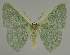 ( - BC EF Alc 00499)  @14 [ ] Copyright (2010) Unspecified Research Collection of Egbert Friedrich