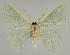  ( - BC EF Alc 00499)  @13 [ ] Copyright (2010) Unspecified Research Collection of Egbert Friedrich