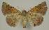  ( - BC EF Alc 00502)  @13 [ ] Copyright (2010) Unspecified Research Collection of Egbert Friedrich