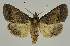  ( - BC EF Alc 00503)  @14 [ ] Copyright (2010) Unspecified Research Collection of Egbert Friedrich