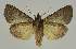  ( - BC EF Alc 00503)  @13 [ ] Copyright (2010) Unspecified Research Collection of Egbert Friedrich