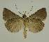  ( - BC EF Alc 00505)  @13 [ ] Copyright (2010) Unspecified Research Collection of Egbert Friedrich
