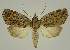  ( - BC EF Alc 00507)  @13 [ ] Copyright (2010) Unspecified Research Collection of Egbert Friedrich
