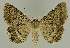  ( - BC EF Alc 00515)  @13 [ ] Copyright (2010) Unspecified Research Collection of Egbert Friedrich