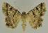  ( - BC EF Alc 00516)  @13 [ ] Copyright (2010) Unspecified Research Collection of Egbert Friedrich