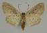 ( - BC EF Alc 00538)  @13 [ ] Copyright (2010) Unspecified Research Collection of Egbert Friedrich