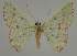  ( - BC EF Alc 00545)  @13 [ ] Copyright (2010) Unspecified Research Collection of Egbert Friedrich
