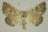 ( - BC EF Alc 00548)  @12 [ ] Copyright (2010) Unspecified Research Collection of Egbert Friedrich