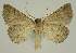  ( - BC EF Alc 00548)  @12 [ ] Copyright (2010) Unspecified Research Collection of Egbert Friedrich