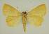  ( - BC EF Alc 00598)  @13 [ ] Copyright (2010) Unspecified Research Collection of Egbert Friedrich