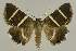  ( - BC EF Alc 00599)  @14 [ ] Copyright (2010) Unspecified Research Collection of Egbert Friedrich