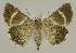  ( - BC EF Alc 00599)  @14 [ ] Copyright (2010) Unspecified Research Collection of Egbert Friedrich