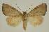  ( - BC EF Alc 00605)  @13 [ ] Copyright (2010) Unspecified Research Collection of Egbert Friedrich