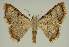  ( - BC EF Alc 00621)  @14 [ ] Copyright (2010) Unspecified Research Collection of Egbert Friedrich