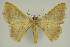  ( - BC EF Alc 00621)  @13 [ ] Copyright (2010) Unspecified Research Collection of Egbert Friedrich