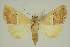  ( - BC EF Alc 00628)  @13 [ ] Copyright (2010) Unspecified Research Collection of Egbert Friedrich