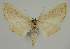  ( - BC EF Alc 00642)  @13 [ ] Copyright (2010) Unspecified Research Collection of Egbert Friedrich