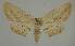  ( - BC EF Alc 00643)  @14 [ ] Copyright (2010) Unspecified Research Collection of Egbert Friedrich