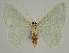 ( - BC EF Alc 00645)  @13 [ ] Copyright (2010) Unspecified Research Collection of Egbert Friedrich