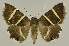  ( - BC EF Alc 00670)  @14 [ ] Copyright (2010) Unspecified Research Collection of Egbert Friedrich
