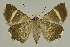  ( - BC EF Alc 00670)  @13 [ ] Copyright (2010) Unspecified Research Collection of Egbert Friedrich