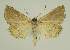  ( - BC EF Alc 00681)  @12 [ ] Copyright (2010) Unspecified Research Collection of Egbert Friedrich
