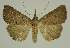  ( - BC EF Alc 00682)  @14 [ ] Copyright (2010) Unspecified Research Collection of Egbert Friedrich