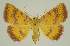 ( - BC EF Alc 00685)  @14 [ ] Copyright (2010) Unspecified Research Collection of Egbert Friedrich