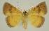 ( - BC EF Alc 00685)  @13 [ ] Copyright (2010) Unspecified Research Collection of Egbert Friedrich