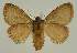  ( - BC EF Alc 00688)  @12 [ ] Copyright (2010) Unspecified Research Collection of Egbert Friedrich