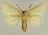  ( - BC EF Alc 00691)  @13 [ ] Copyright (2010) Unspecified Research Collection of Egbert Friedrich