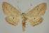  ( - BC EF Alc 00704)  @14 [ ] Copyright (2010) Unspecified Research Collection of Egbert Friedrich