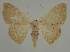  ( - BC EF Alc 00707)  @14 [ ] Copyright (2010) Unspecified Research Collection of Egbert Friedrich