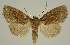 ( - BC EF Alc 00723)  @13 [ ] Copyright (2010) Unspecified Research Collection of Egbert Friedrich