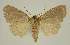  ( - BC EF Alc 00723)  @13 [ ] Copyright (2010) Unspecified Research Collection of Egbert Friedrich