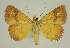  ( - BC EF Alc 00724)  @13 [ ] Copyright (2010) Unspecified Research Collection of Egbert Friedrich