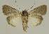  ( - BC EF Alc 00725)  @13 [ ] Copyright (2010) Unspecified Research Collection of Egbert Friedrich