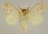  ( - BC EF Alc 00726)  @13 [ ] Copyright (2010) Unspecified Research Collection of Egbert Friedrich