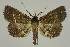  ( - BC EF Alc 00733)  @14 [ ] Copyright (2010) Unspecified Research Collection of Egbert Friedrich