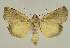  ( - BC EF Alc 00735)  @13 [ ] Copyright (2010) Unspecified Research Collection of Egbert Friedrich