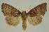  ( - BC EF Alc 00737)  @13 [ ] Copyright (2010) Unspecified Research Collection of Egbert Friedrich
