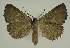  ( - BC EF Alc 00738)  @13 [ ] Copyright (2010) Unspecified Research Collection of Egbert Friedrich