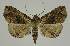  ( - BC EF Alc 00748)  @14 [ ] Copyright (2010) Unspecified Research Collection of Egbert Friedrich
