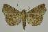  ( - BC EF Alc 00748)  @13 [ ] Copyright (2010) Unspecified Research Collection of Egbert Friedrich