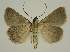  ( - BC EF Alc 00757)  @13 [ ] Copyright (2010) Unspecified Research Collection of Egbert Friedrich