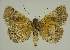  ( - BC EF Alc 00761)  @13 [ ] Copyright (2010) Unspecified Research Collection of Egbert Friedrich