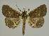  ( - BC EF Alc 00773)  @14 [ ] Copyright (2010) Unspecified Research Collection of Egbert Friedrich