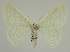  ( - BC EF Alc 00778)  @13 [ ] Copyright (2010) Unspecified Research Collection of Egbert Friedrich