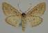  ( - BC EF Alc 00790)  @13 [ ] Copyright (2010) Unspecified Research Collection of Egbert Friedrich