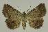  ( - BC EF Alc 00797)  @14 [ ] Copyright (2010) Unspecified Research Collection of Egbert Friedrich